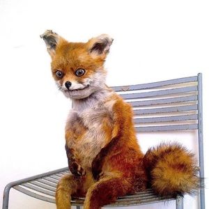 Meet your Posher, Sydney